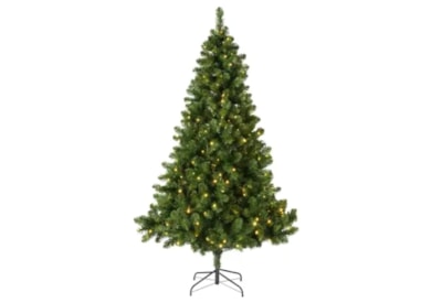 Christmas Tree Imperial Pine Gb Led Indoor 210Cm
