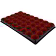 Gardman Grow It Seed & Cutting Tray 40 Pots 6cm Gardman Grow It Seed & Cutting Tray 40 Pots 6cm