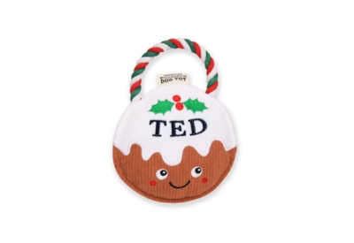 Ted Personalised Dog Toy