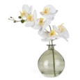 33Cm Orchid In Green Glass Vase