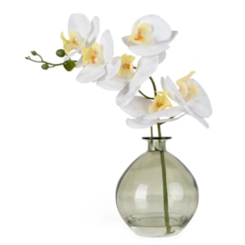 33Cm Orchid In Green Glass Vase