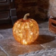 Smart Garden Inlit Golden Pumpkin Large 19x18 Smart Garden Inlit Golden Pumpkin Large 19x18
