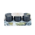 Set Of 3 Votive Candles Hydrangea & Jasmine Set Of 3 Votive Candles Hydrangea & Jasmine