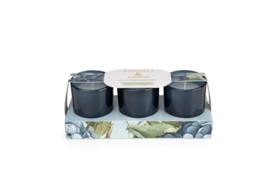 Set Of 3 Votive Candles Hydrangea & Jasmine Set Of 3 Votive Candles Hydrangea & Jasmine