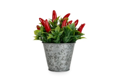 15Cm Chillies In Tin 15Cm Chillies In Tin