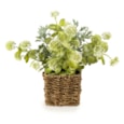 28Cm Jonquil In Cattail Basket Green 28Cm Jonquil In Cattail Basket Green