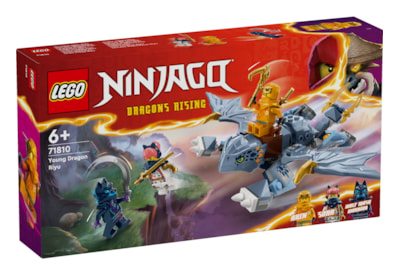 Lego Ninjago Young Dragon Riyu (71810)