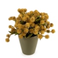 20Cm Allium Plant In Ceramic Pot - Yellow
