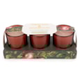 Set Of 3 Votives Candles Forest Pine & Pomegranate