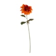 Single Dahlia Stem Orange 74Cm