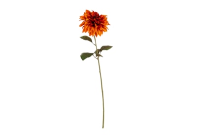 Single Dahlia Stem Orange 74Cm