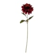 Single Dahlia Stem Burgundy 74Cm