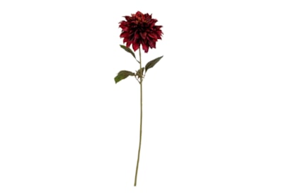 Single Dahlia Stem Burgundy 74Cm