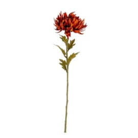 Single Chrysanthemum Stem Burgundy 62Cm Single Chrysanthemum Stem Burgundy 62Cm