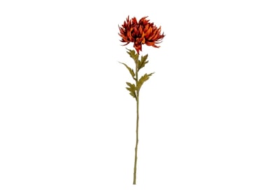 Single Chrysanthemum Stem Burgundy 62Cm Single Chrysanthemum Stem Burgundy 62Cm