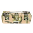 Set Of 3 Votive Candles Olive Vine & Thyme