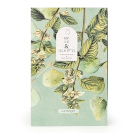 Room Spray & Candle Jar Gift Set Mint Leaf & Eucalyptus