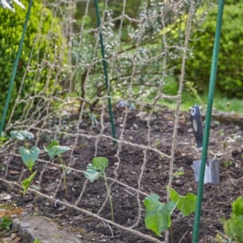 Smart Garden Ecojute Pea & Bean Netting 1.8x1.8m 120mm (7030007)