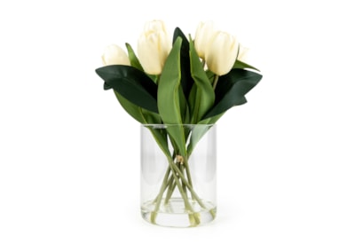 Bouquet Of Tulips Cream In Glass Vase Bouquet Of Tulips Cream In Glass Vase