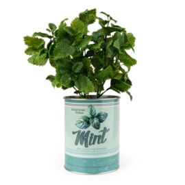 25Cm Mint Plant In Metal Pot