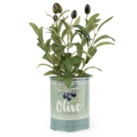 25Cm Olive Plant In Metal Pot 25Cm Olive Plant In Metal Pot
