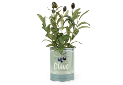 25Cm Olive Plant In Metal Pot 25Cm Olive Plant In Metal Pot
