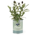 25Cm Olive Plant In Metal Pot