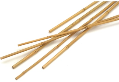 Bamboo Canes - 10 Pack 1.2m (76225)