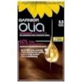 Garnier Olia-golden Brown  5.3 (233720)