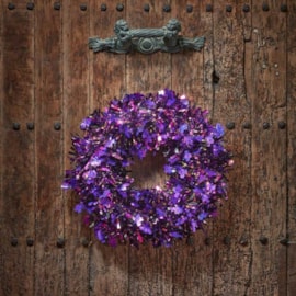 Smart Garden Hallowreath Purple (5081303)