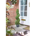 Smart Garden Topiary Twirl 90cm Smart Garden Topiary Twirl 90cm