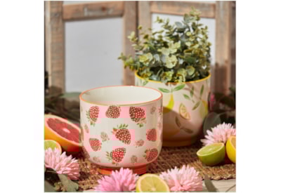 Fruity Planter 2 asst Fruity Planter 2 asst