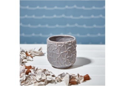 Starfish Planter Grey Sml Starfish Planter Grey Sml