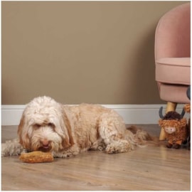 Zoon 2 Medium Yak Chews With Turmeric 140g Zoon 2 Medium Yak Chews With Turmeric 140g