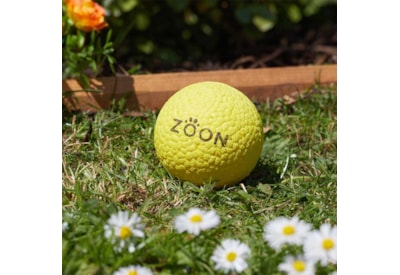 Indestruct-A-Ball Indestruct-A-Ball
