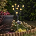 Smart Garden 8 Stem Gloglobes Warm White