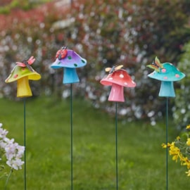 Loony Stakes Fabfunghi Loony Stakes Fabfunghi