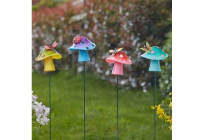 Loony Stakes Fabfunghi Loony Stakes Fabfunghi