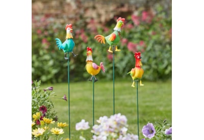 Loony Stakes Cockadoodles Loony Stakes Cockadoodles