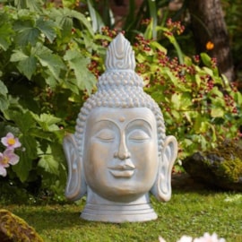 Smart Garden Buddha Smart Garden Buddha