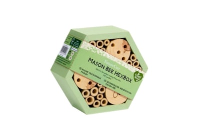 Smart Garden Mason Bee Hexbox Smart Garden Mason Bee Hexbox