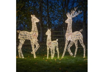 Three Kings Goldtwist Stag 1.5m