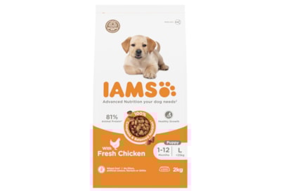 Iams Advanced Nutrition Large Breed Puppy Food With Fresh Chicken 2Kg Iams Advanced Nutrition Large Breed Puppy Food With Fresh Chicken 2Kg