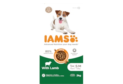 Iams Advanced Nutrition Small/Medium Breed Adult Dog Food With Lamb 2Kg Iams Advanced Nutrition Small/Medium Breed Adult Dog Food With Lamb 2Kg