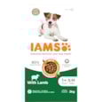 Iams Advanced Nutrition Small/Medium Breed Adult Dog Food With Lamb  2Kg