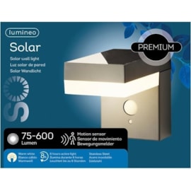 Solar Wall Light S/steel 12cm (897462)