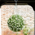 Faux Decor Topiary White Rose Ball 30 Cm