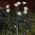 8-Stem Floralights - Warm White 8-Stem Floralights - Warm White