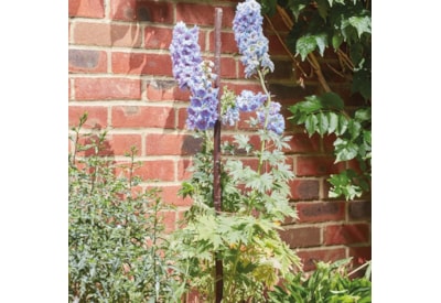 Gro-Stakes Willow 0.9M 5-Pk Gro-Stakes Willow 0.9M 5-Pk