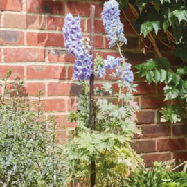 Gro-Stakes Willow 0.9M   5-Pk